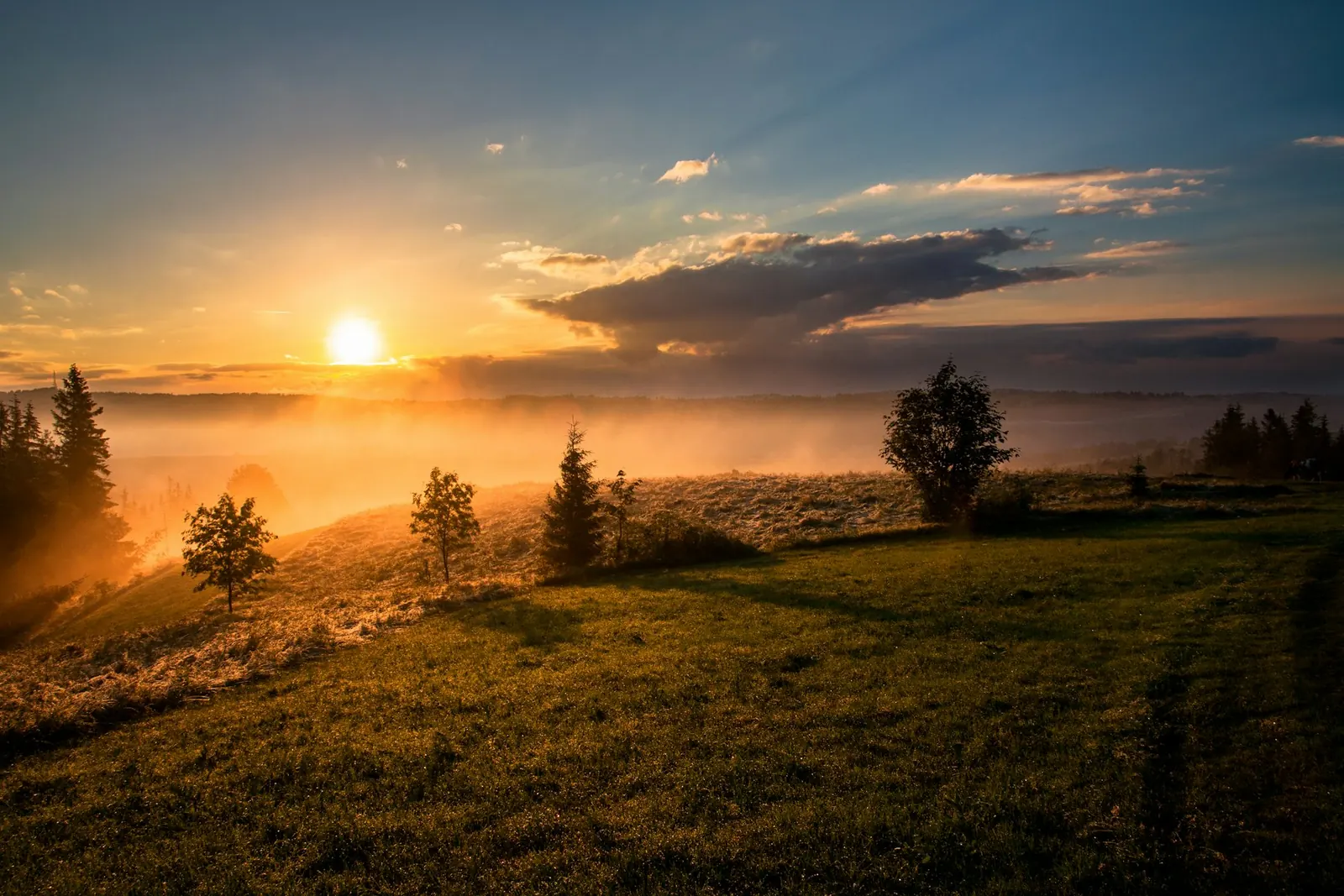 Amanecer sobre un campo con niebla.