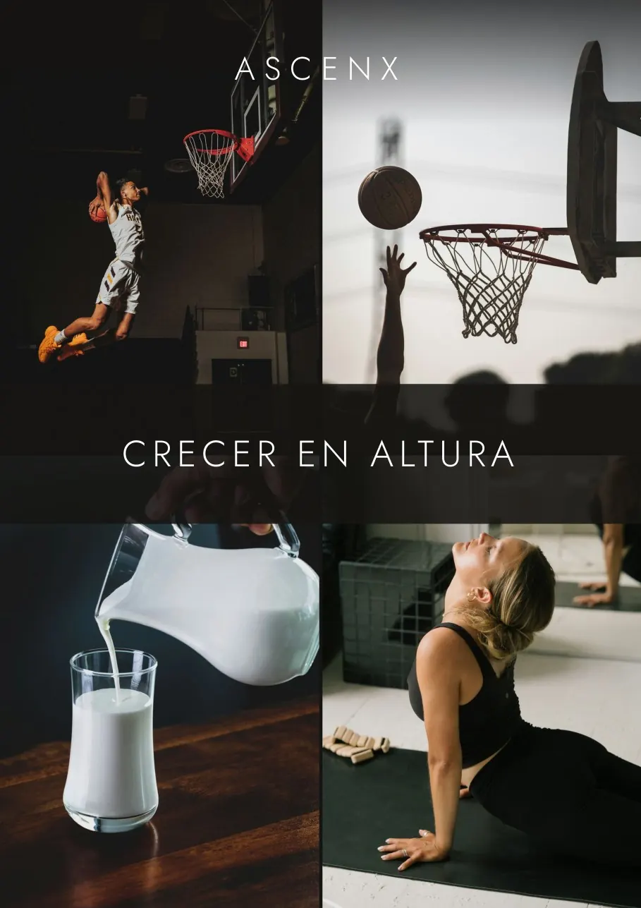Tapa del ebook Crecer en Altura.