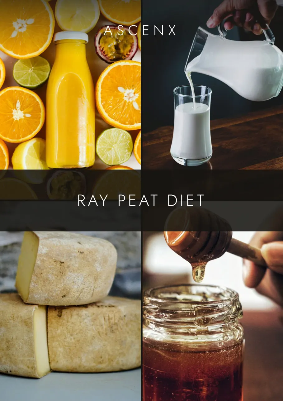 Tapa del ebook Ray Peat Diet.