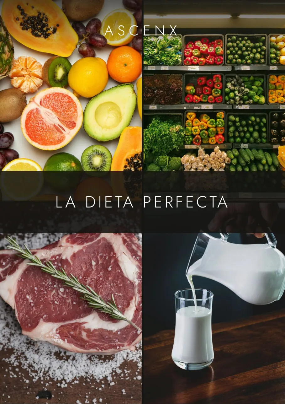 Tapa del ebook La Dieta Perfecta.