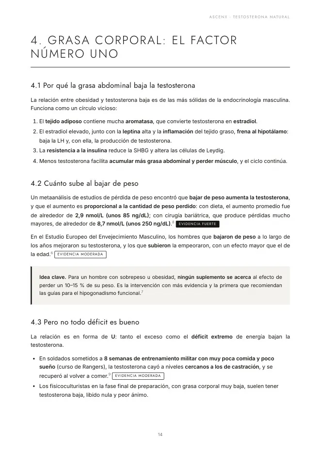Página interior: análisis con veredicto.