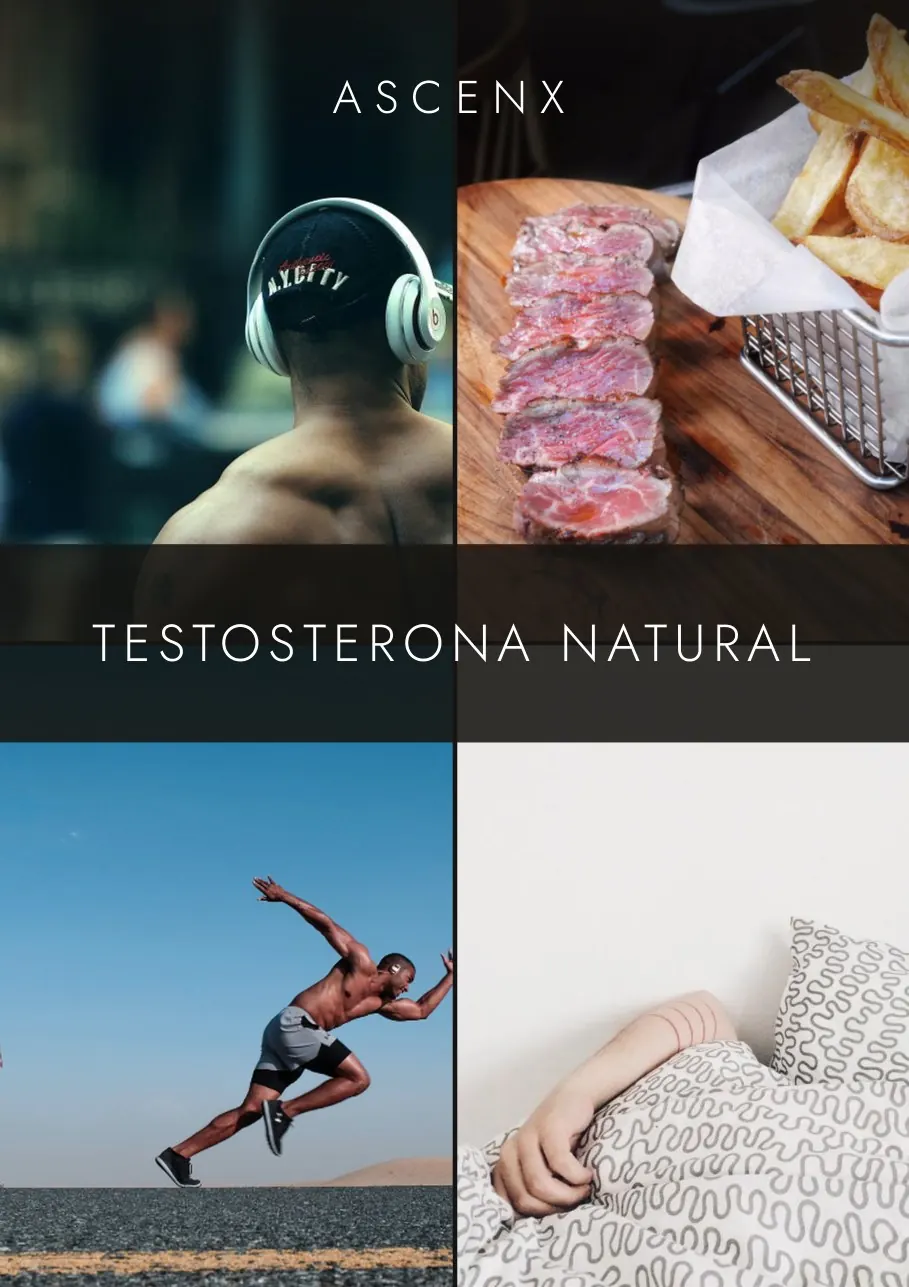 Tapa del ebook Testosterona Natural.